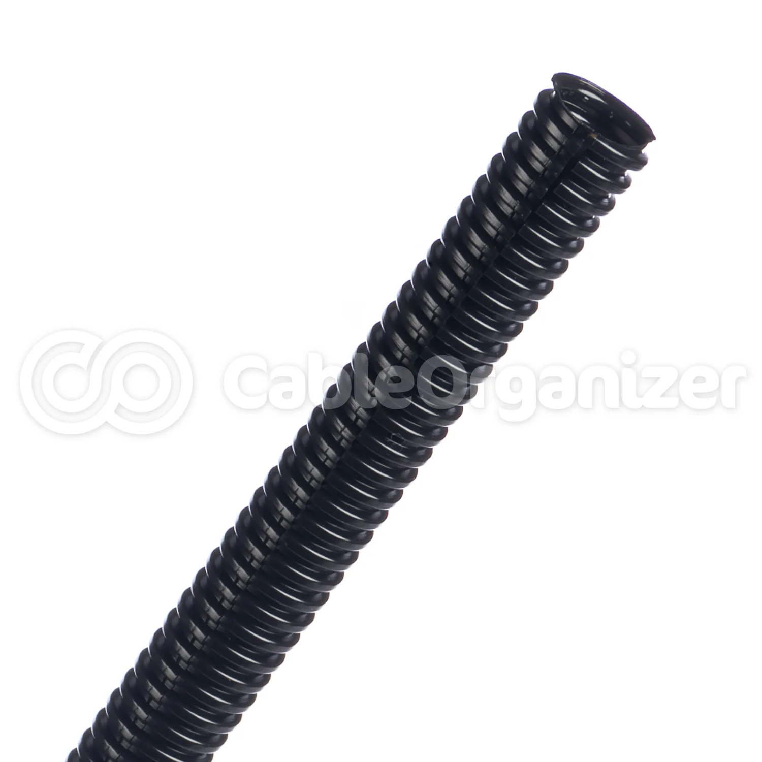 Thumbnail 44